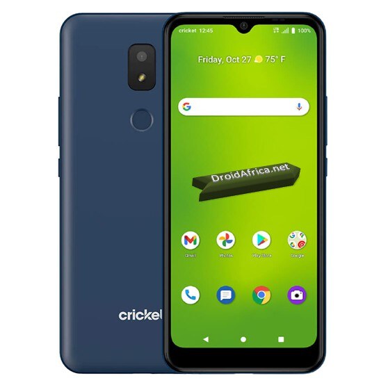 Cricket Icon 3